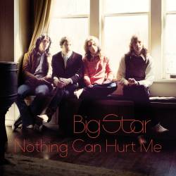 Big Star : Nothing Can Hurt Me